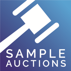 Sample Auctions